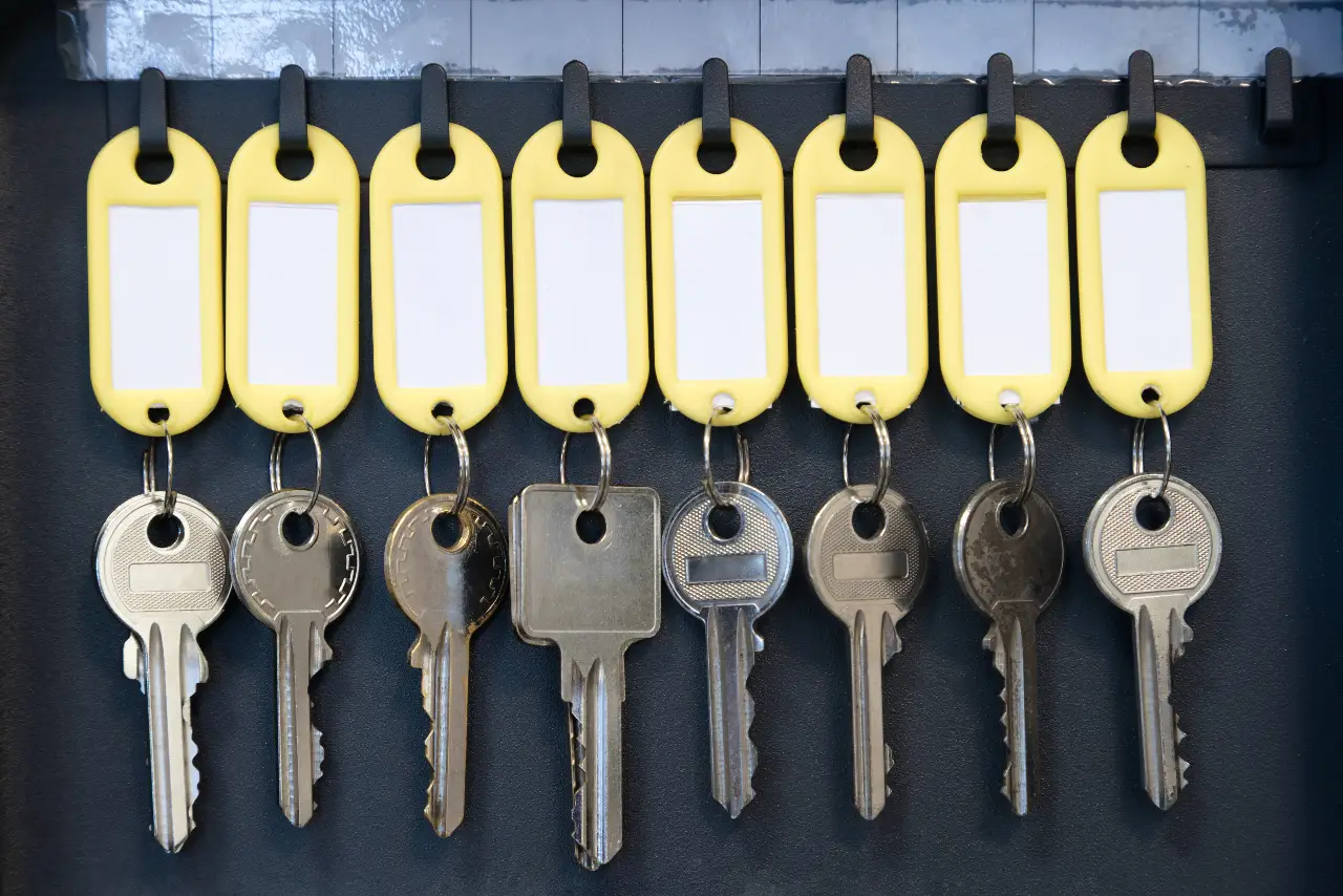 Row of differently cut keys with identification tags
