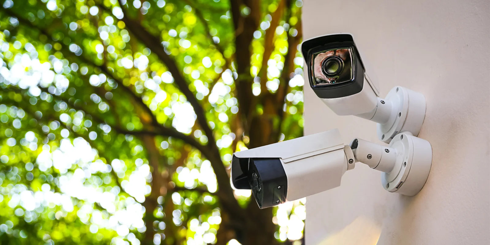 Two exterior security cameras mounted on a building
